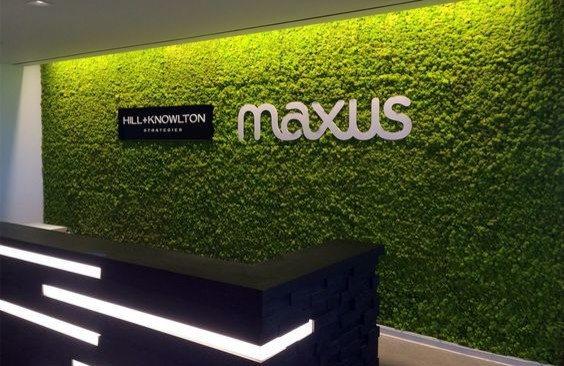 Логотипы со стабилизированным мхом