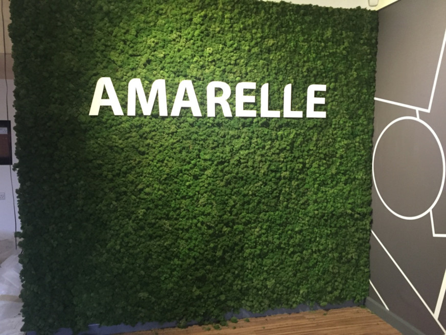 Обложка проекта: Логотипы со стабилизированным мхом