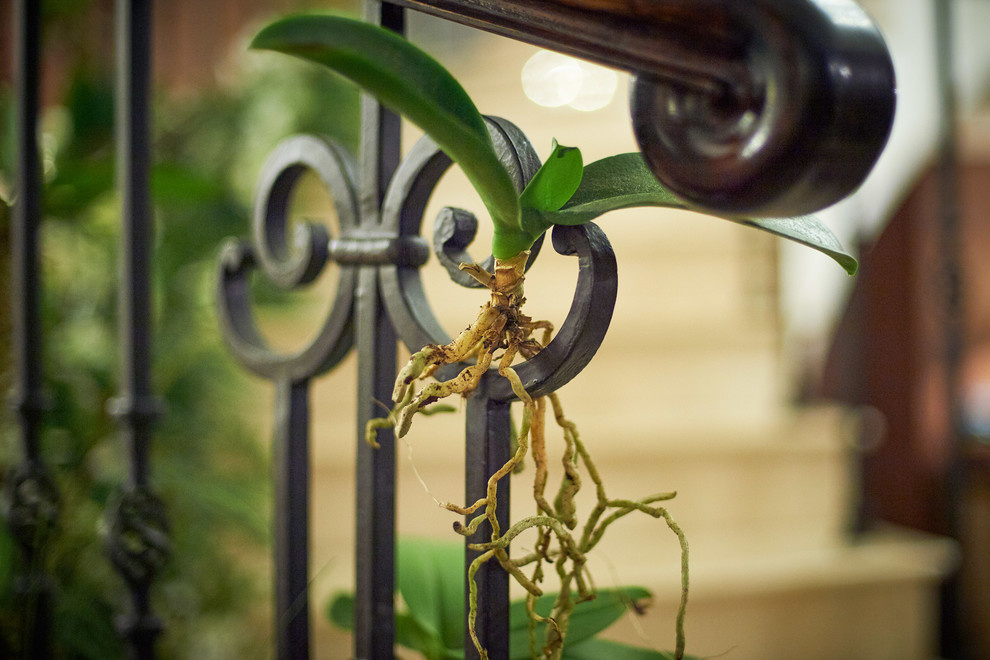 Оформление салона "Английские интерьеры"