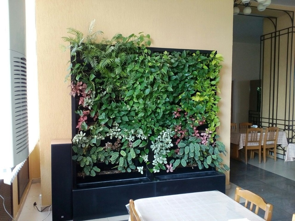 Вертикальное озеленение