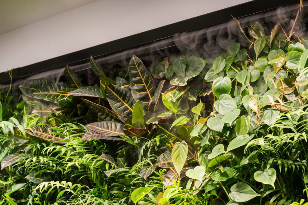 Вертикальное озеленение