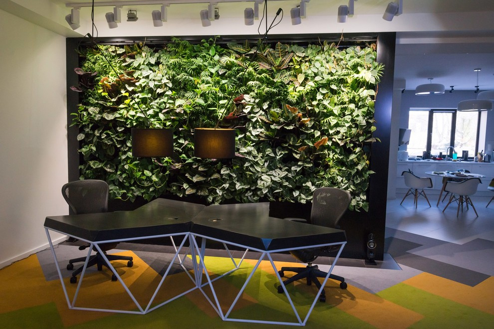 Вертикальное озеленение