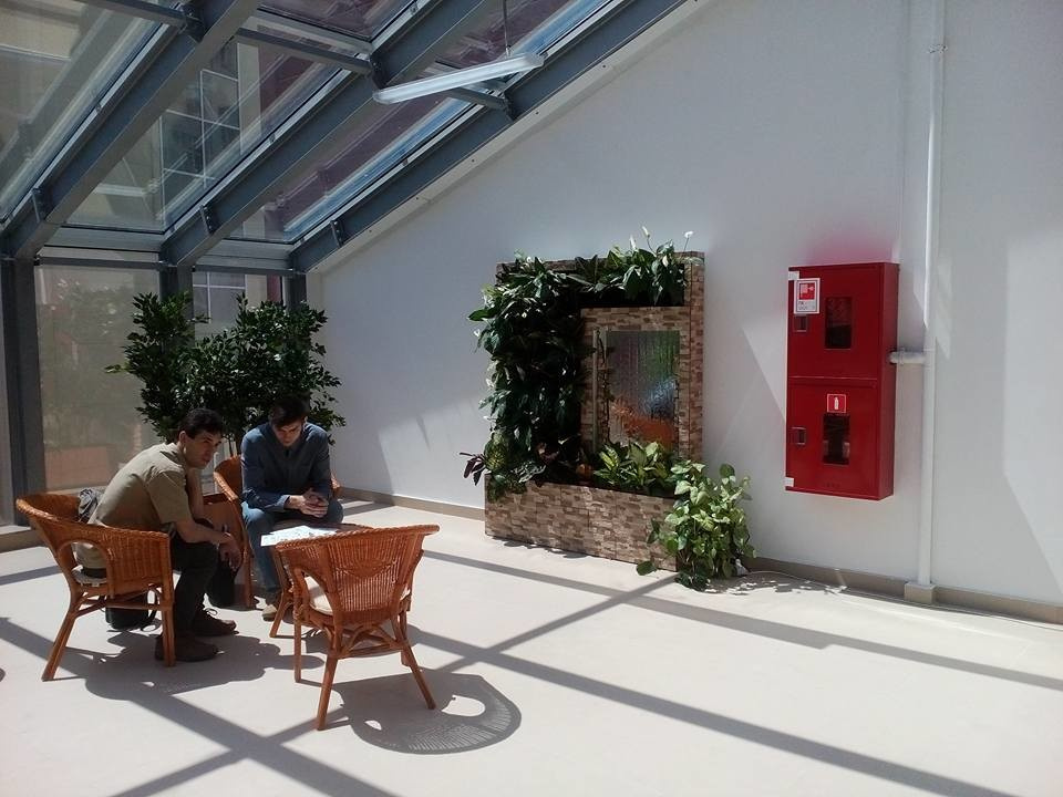 Вертикальное озеленение