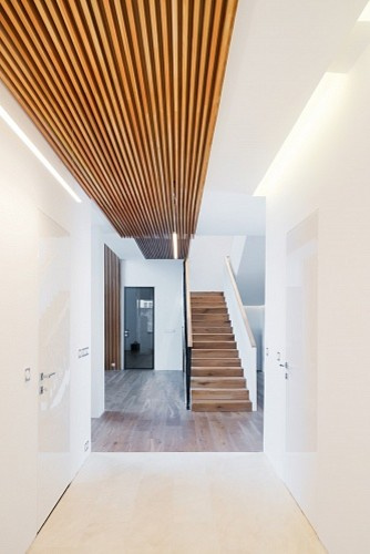 СТОлет PROEKTOR