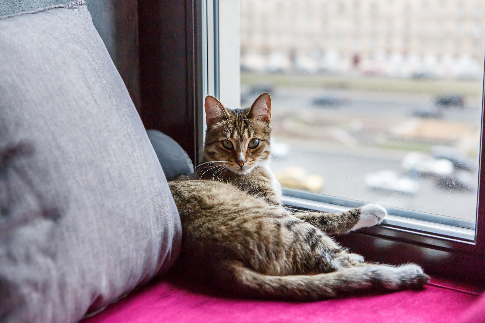 В гостях: Черная квартира с видом на Триумфальную арку