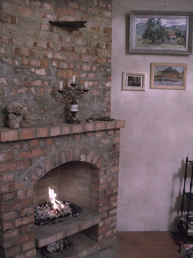 Строительство дачи у пруда с лебедями