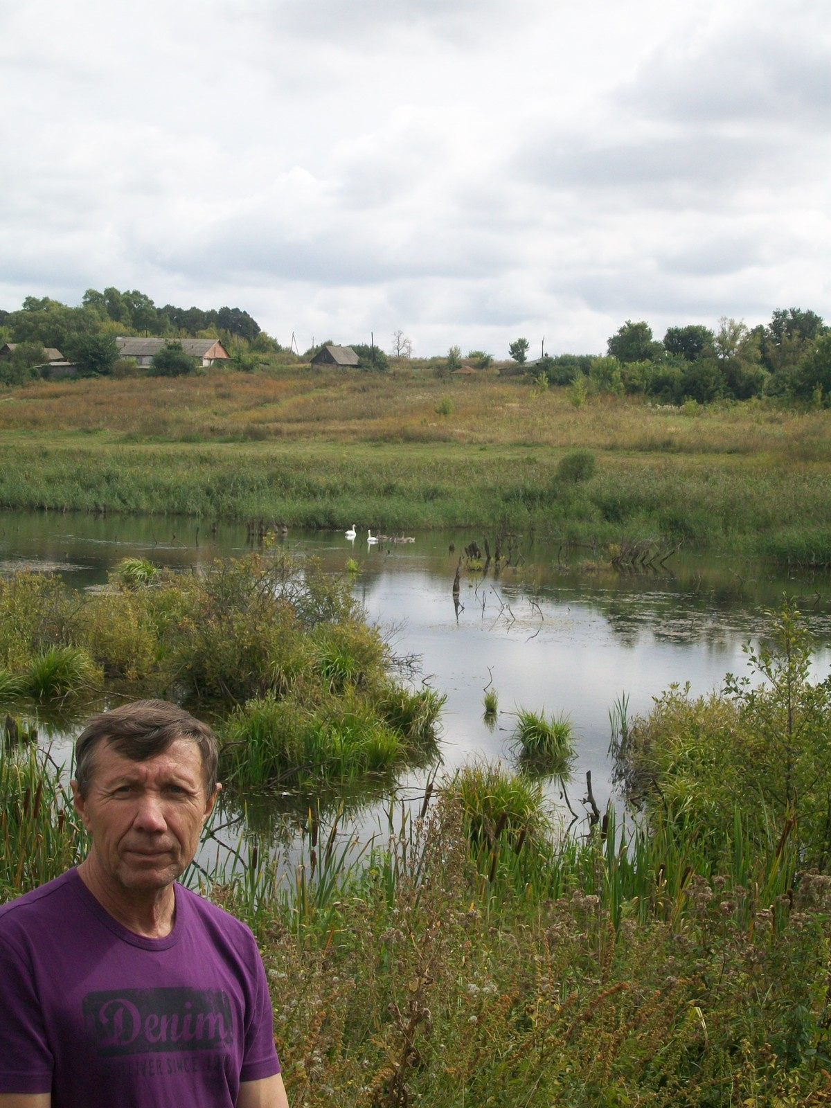 Строительство дачи у пруда с лебедями