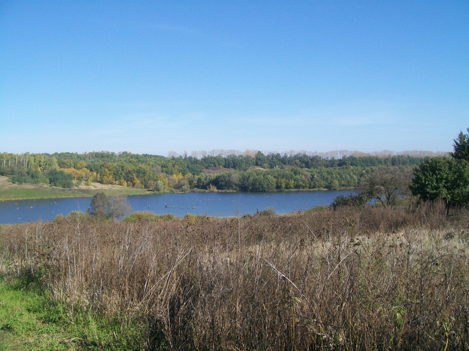 Строительство дачи у пруда с лебедями