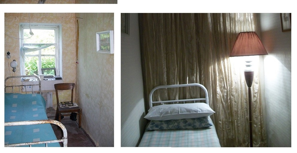 Строительство дачи у пруда с лебедями