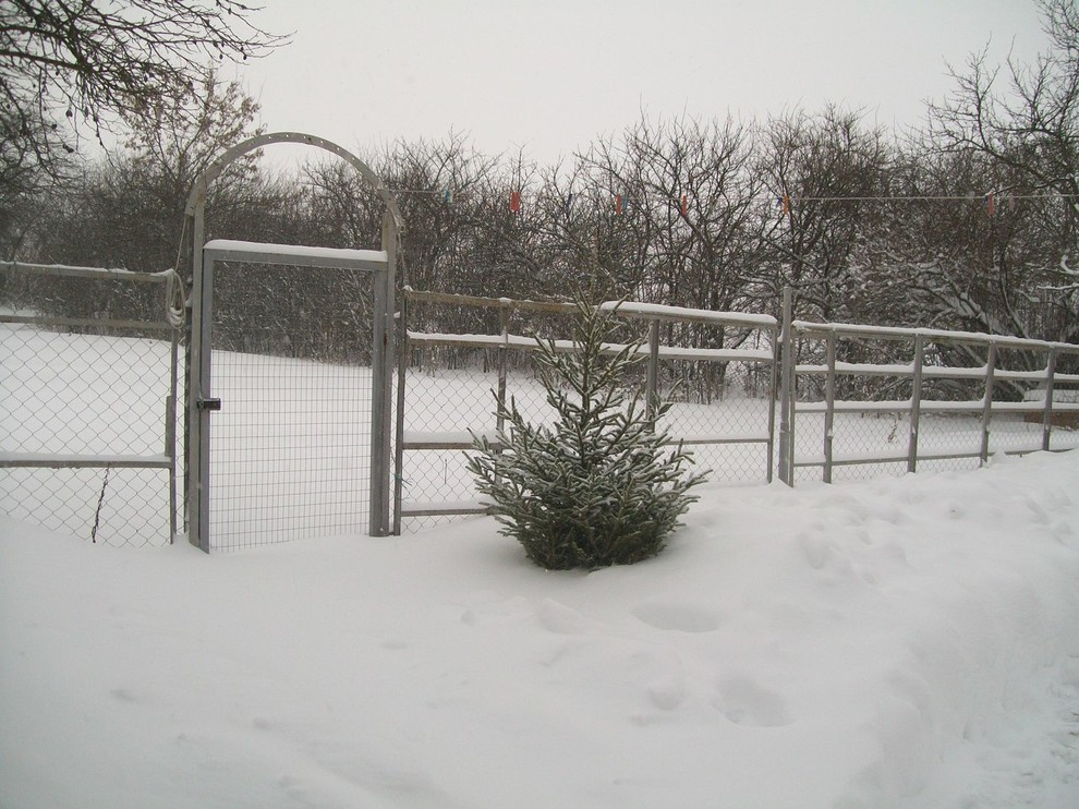 Строительство дачи у пруда с лебедями