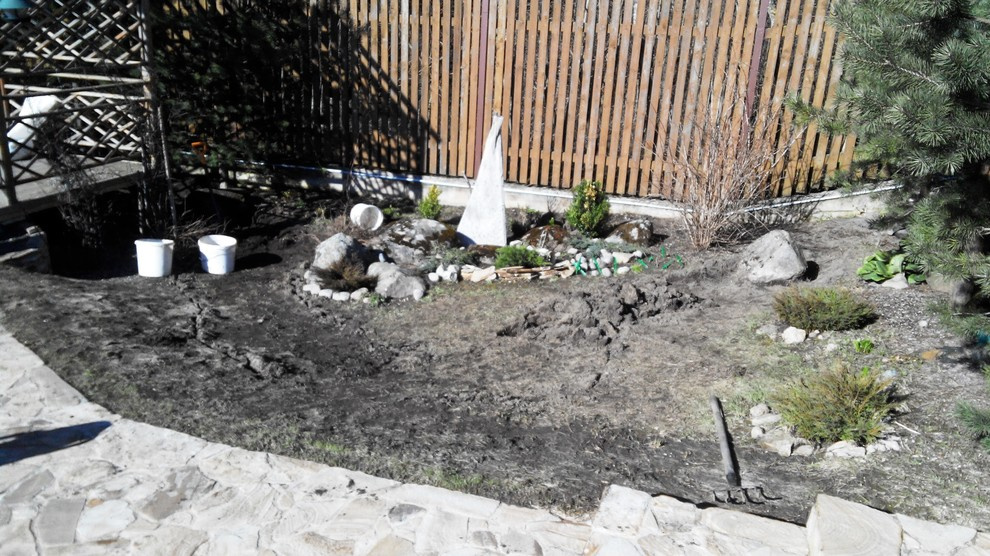 Сухой ручей. Ленинградская область