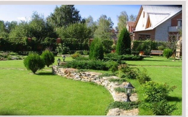 Новые работы