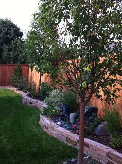 Новые работы