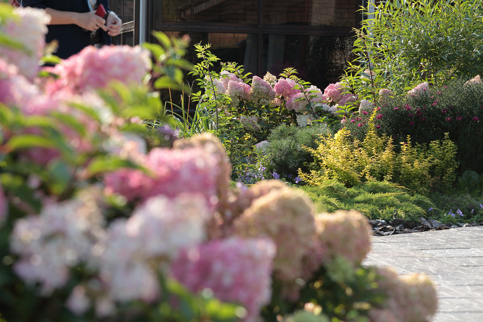 Хвойный миксбордер