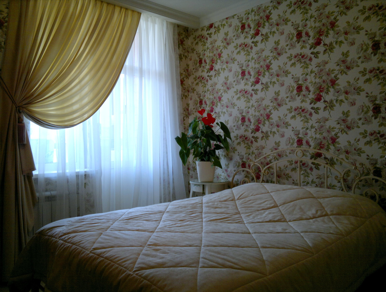 Смородиновый сорбет