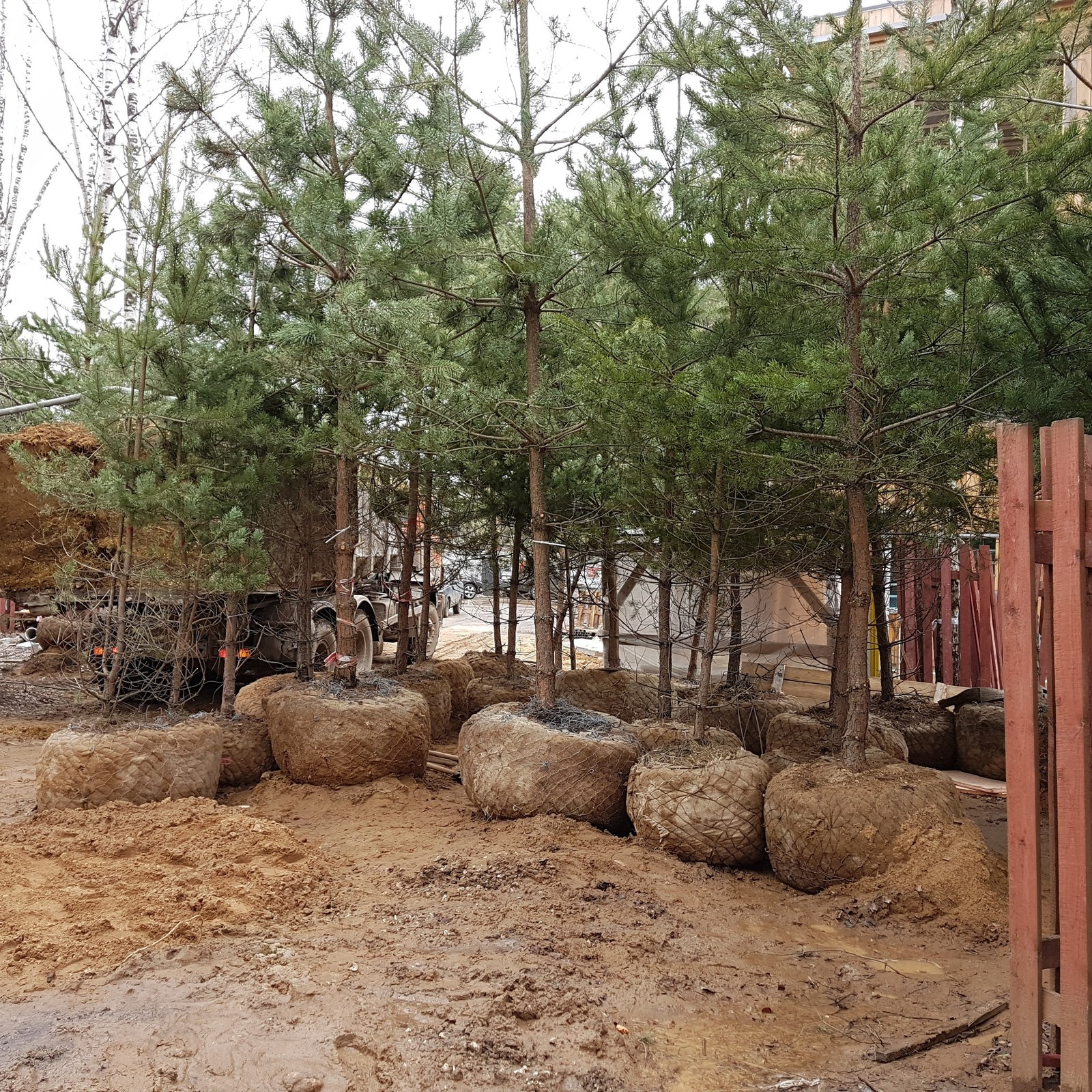 Общий альбом