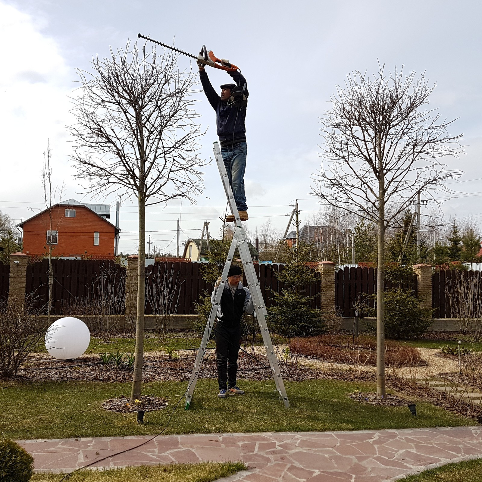 Общий альбом