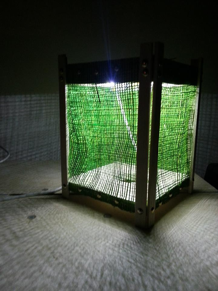 Spring Eco-Flashlight