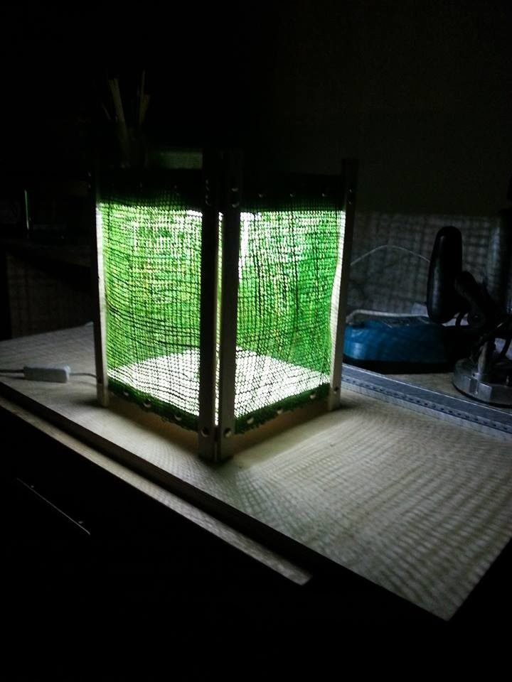 Spring Eco-Flashlight