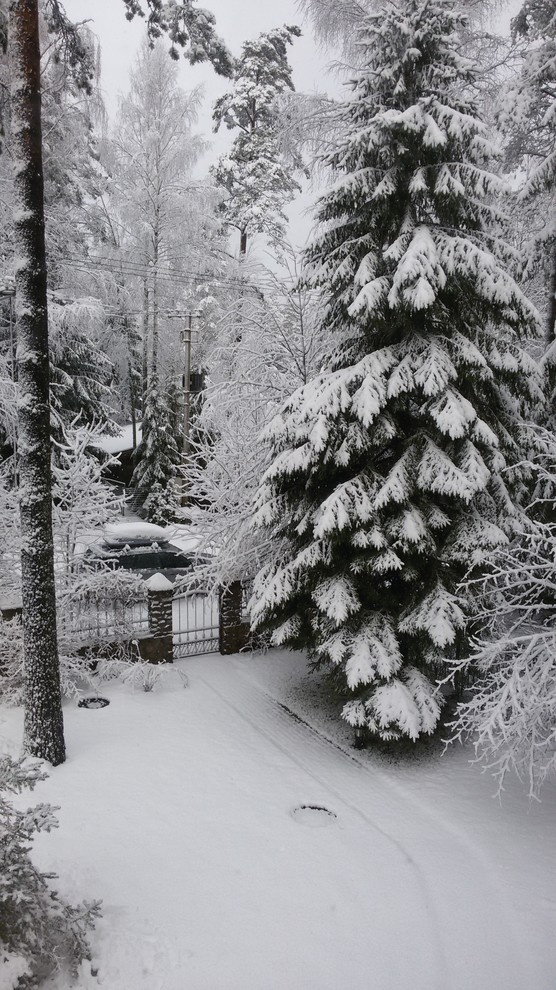 Калитка с улицы