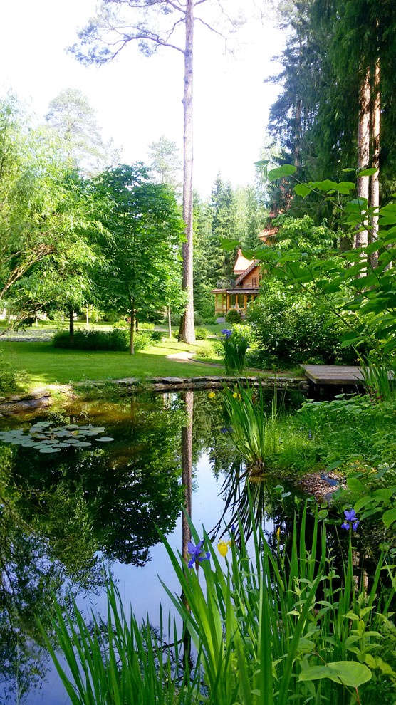 Пруд с кувшинками в пейзажном стиле