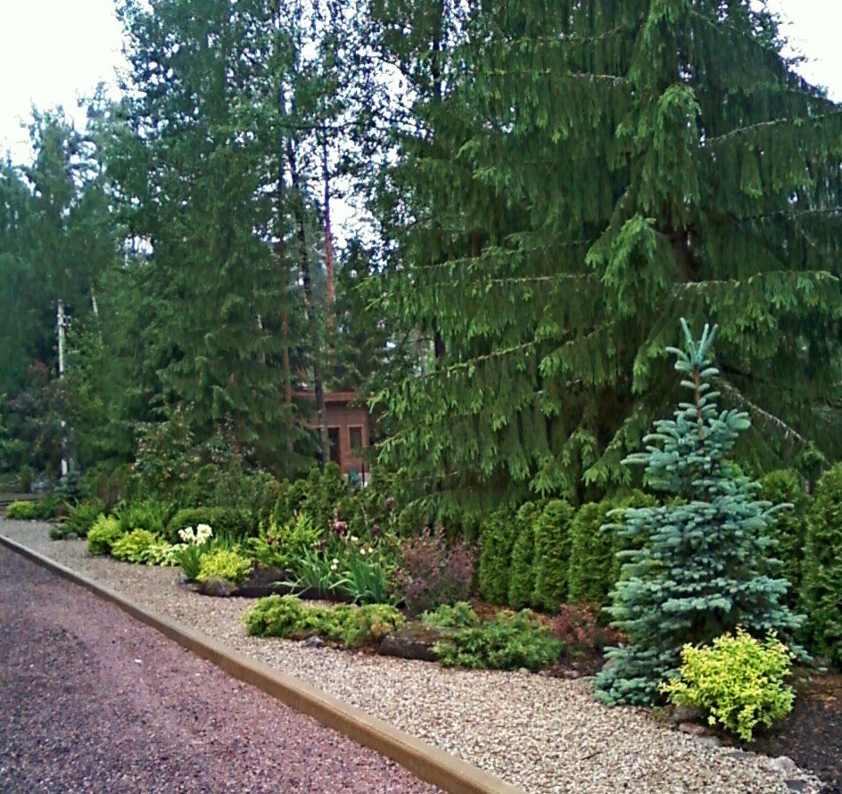 Сад с японским влиянием