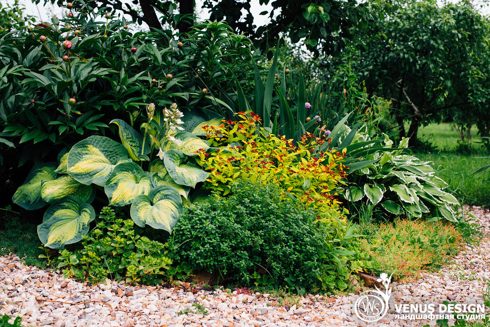 Майский махагон