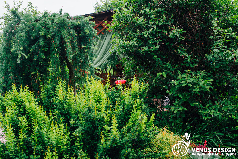 Майский махагон