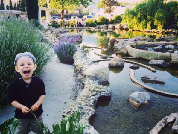 Композиции водопадов