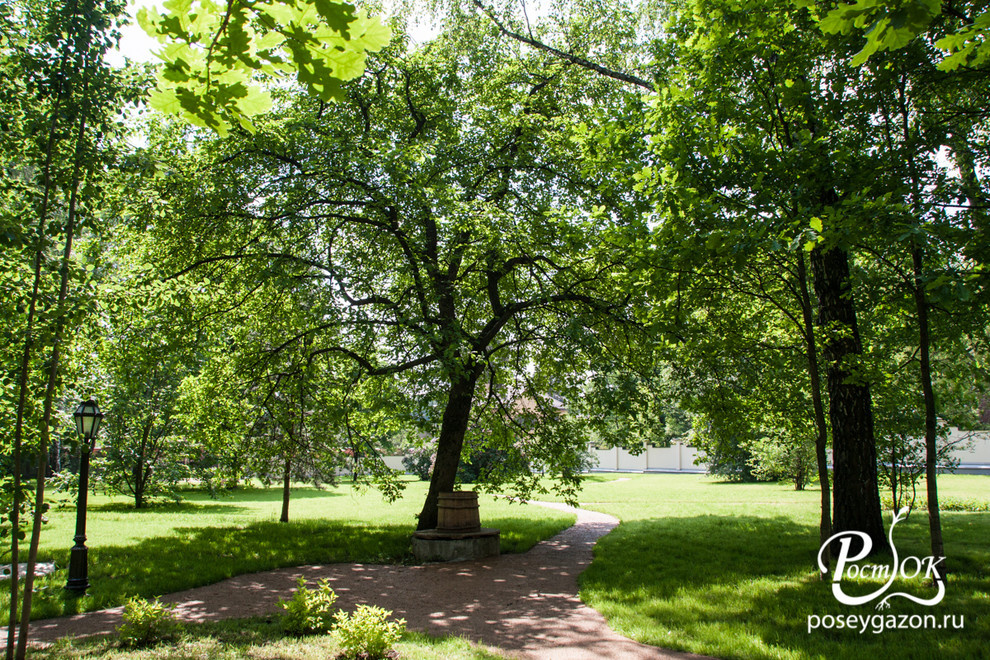 Стародачная Салтыковка