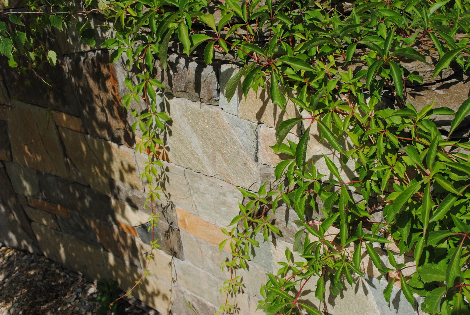 КП Графские пруды