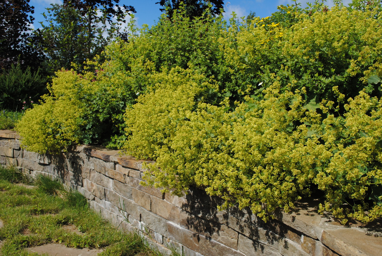 КП Графские пруды