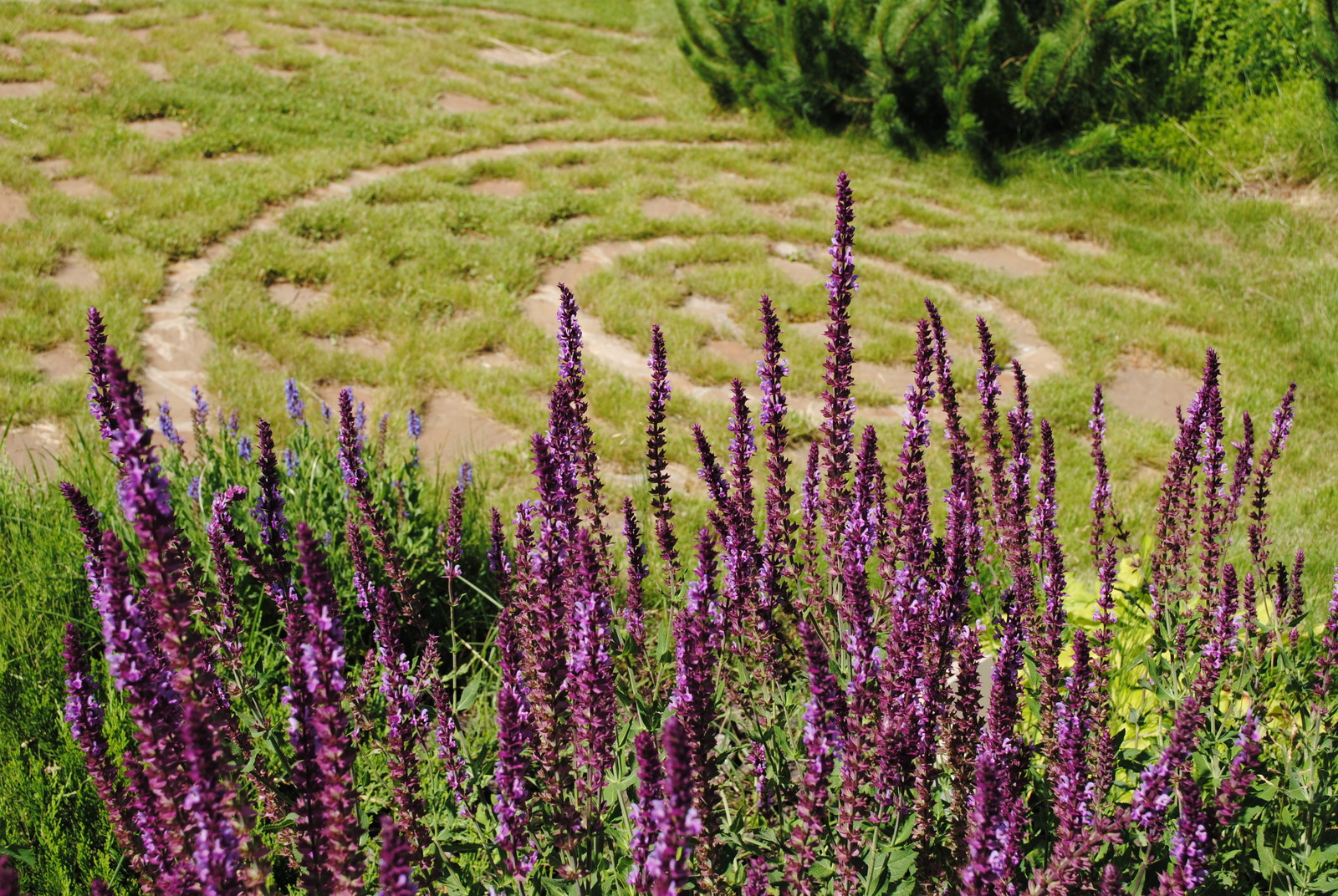 КП Графские пруды