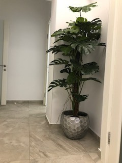 Студия Элитты Лунеговой