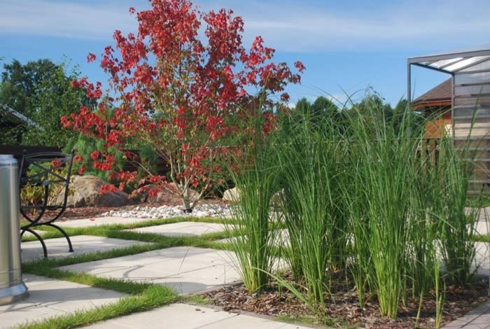 Молодёжное