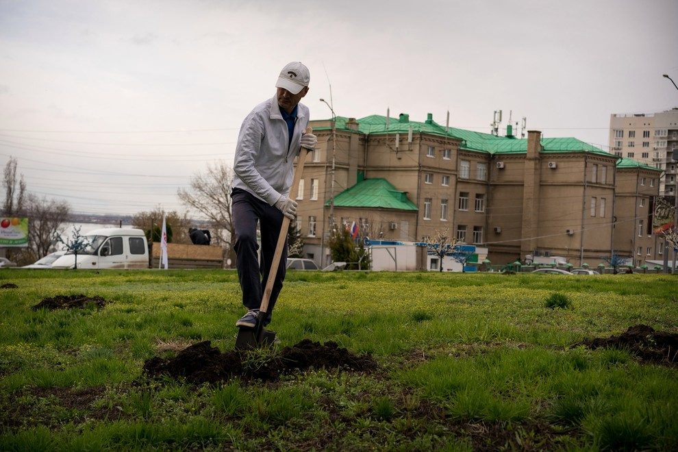 Акция "Посади дерево с Torex"