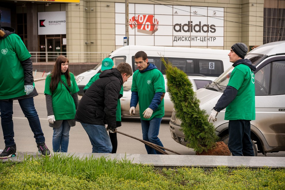 Акция "Посади дерево с Torex"