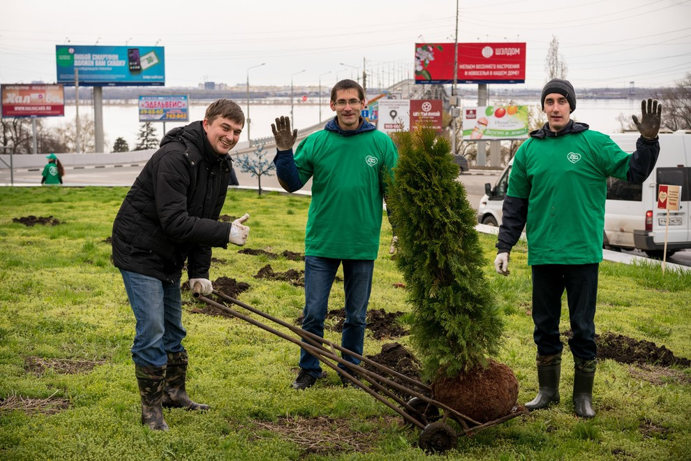 Акция "Посади дерево с Torex"