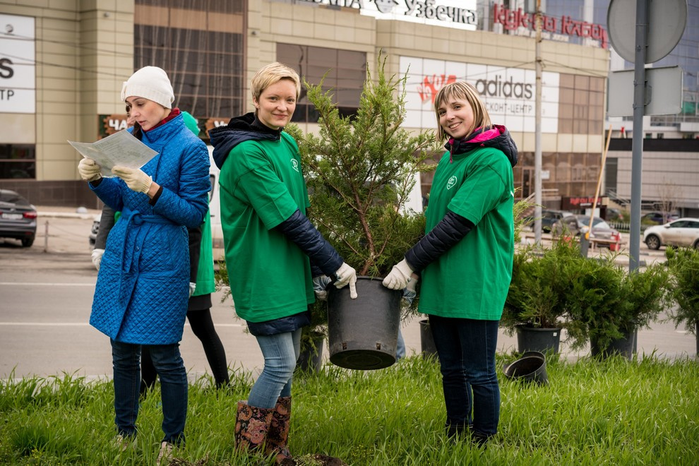 Акция "Посади дерево с Torex"