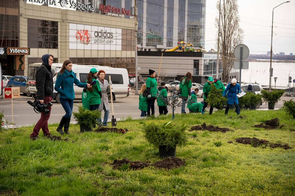 Акция "Посади дерево с Torex"