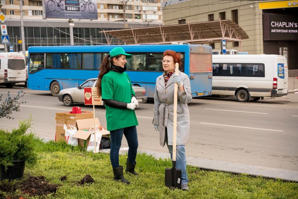 Акция "Посади дерево с Torex"