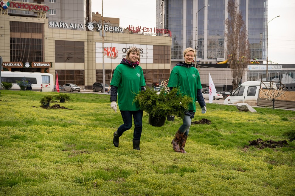 Акция "Посади дерево с Torex"