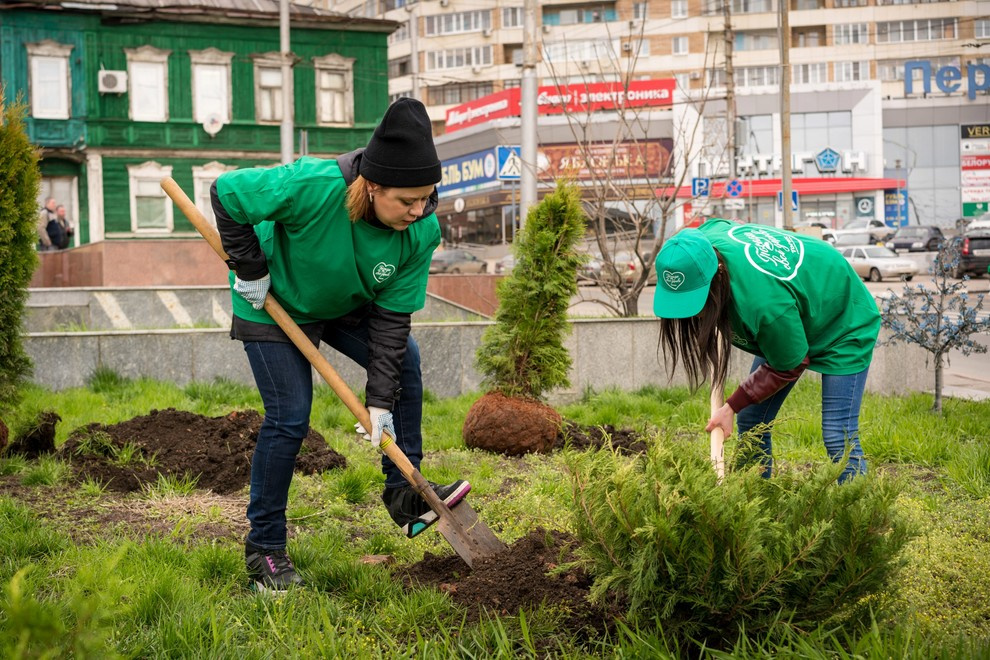 Акция "Посади дерево с Torex"