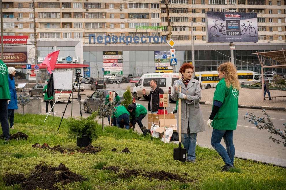 Акция "Посади дерево с Torex"