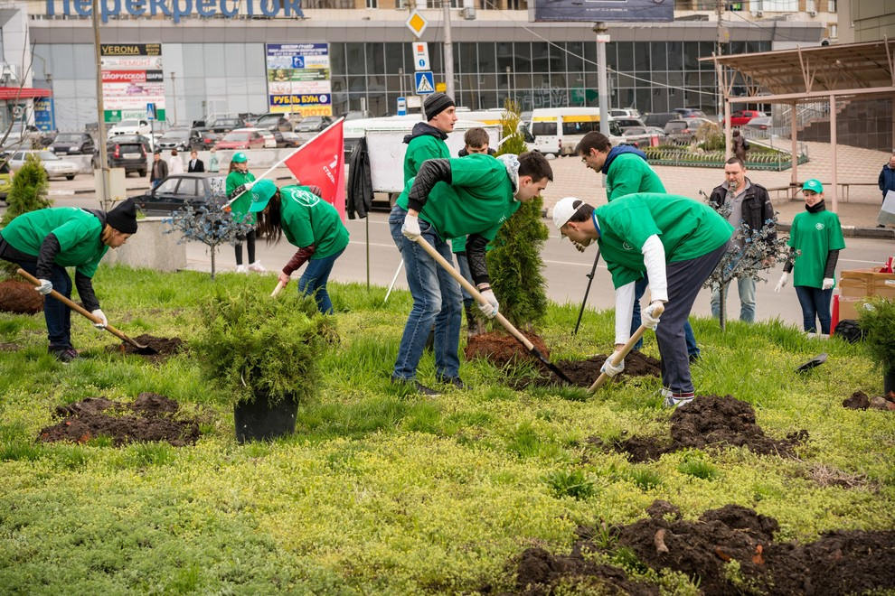 Акция "Посади дерево с Torex"