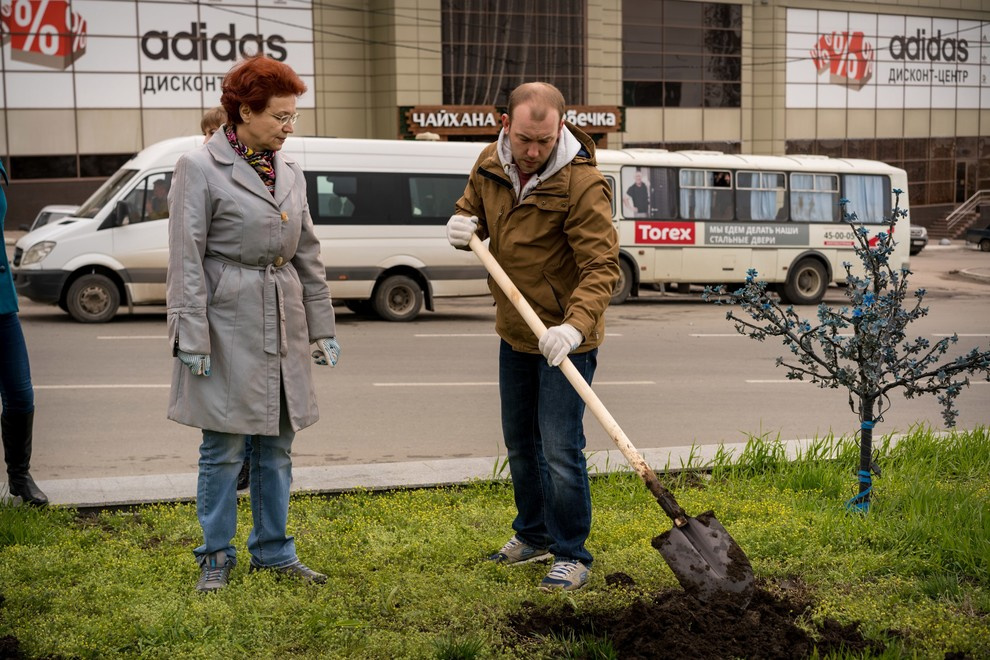 Акция "Посади дерево с Torex"