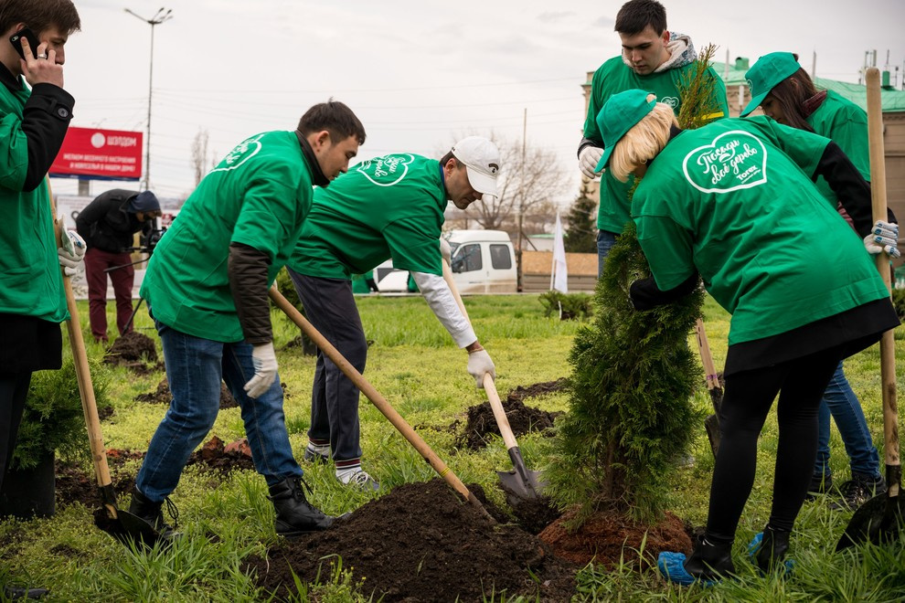 Акция "Посади дерево с Torex"