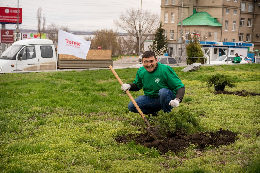 Акция "Посади дерево с Torex"