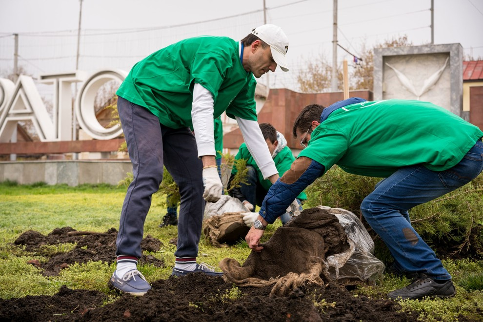 Акция "Посади дерево с Torex"