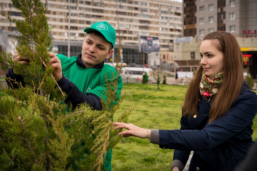 Акция "Посади дерево с Torex"